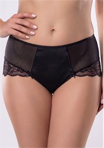 Ewana Lace and Sheer Mesh Brief